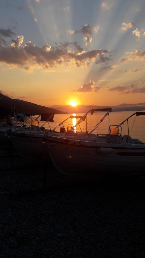 Vasiliki See View Apartments Barbati Bagian luar foto