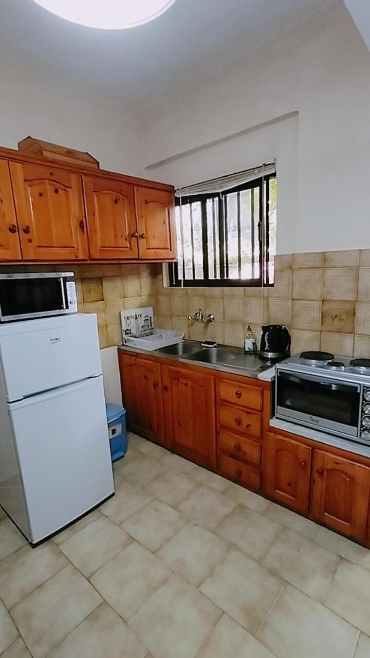 Vasiliki See View Apartments Barbati Bagian luar foto